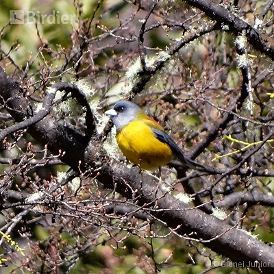 Patagonia Argentina